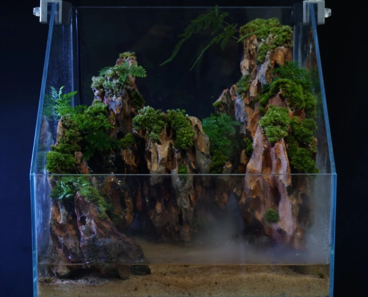 02dbbcaf181916028ad443634be55758.jpg 02dbbcaf181916028ad443634be55758.jpg