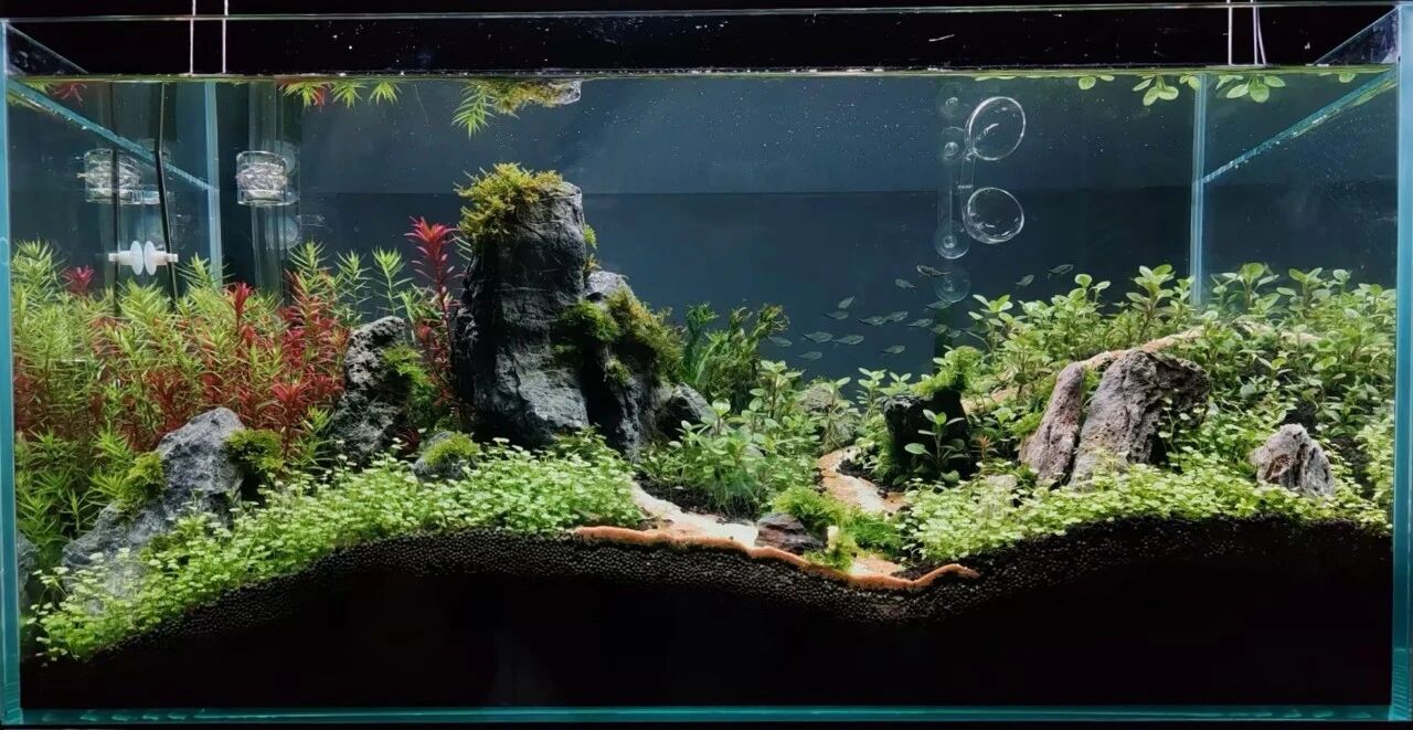 438bf5e4496f6c5699da538584f42a22.jpg 438bf5e4496f6c5699da538584f42a22.jpg