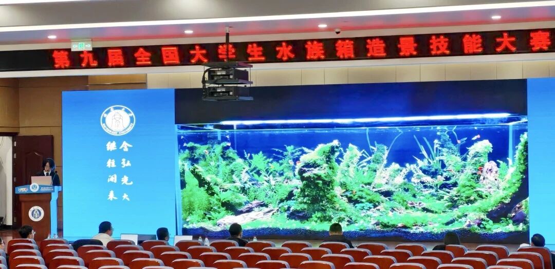 e925fbe7a9e7276e15eeac495a1f460b.jpg e925fbe7a9e7276e15eeac495a1f460b.jpg