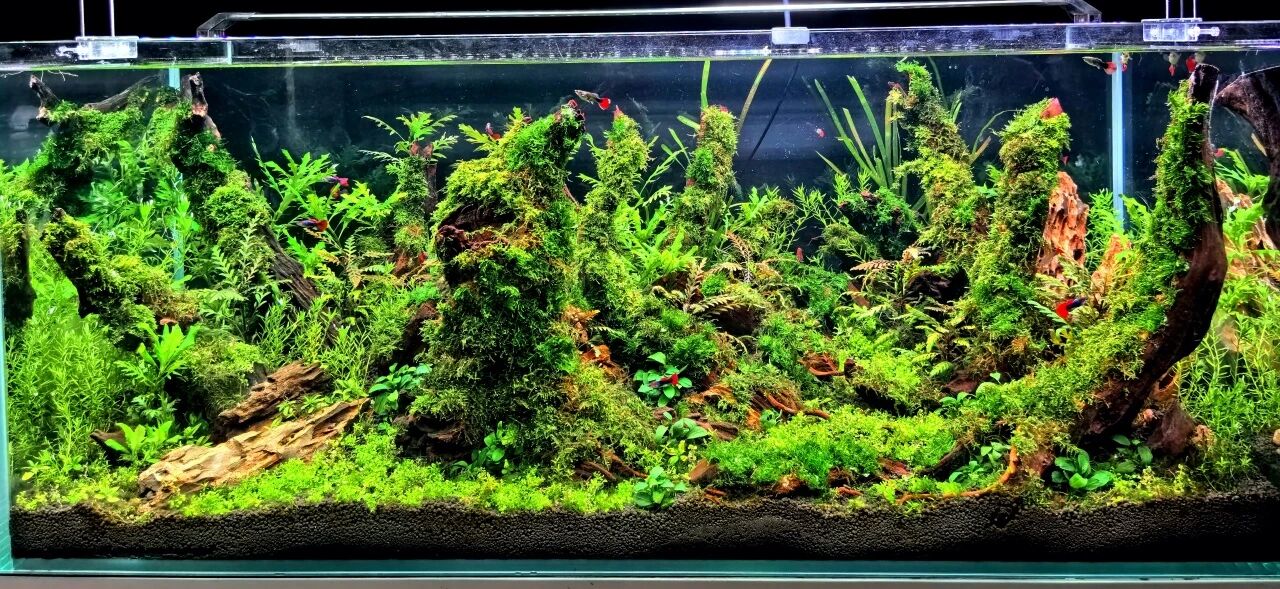 8ae7391d73c587e0ba322aefdafe6db4.jpg 8ae7391d73c587e0ba322aefdafe6db4.jpg