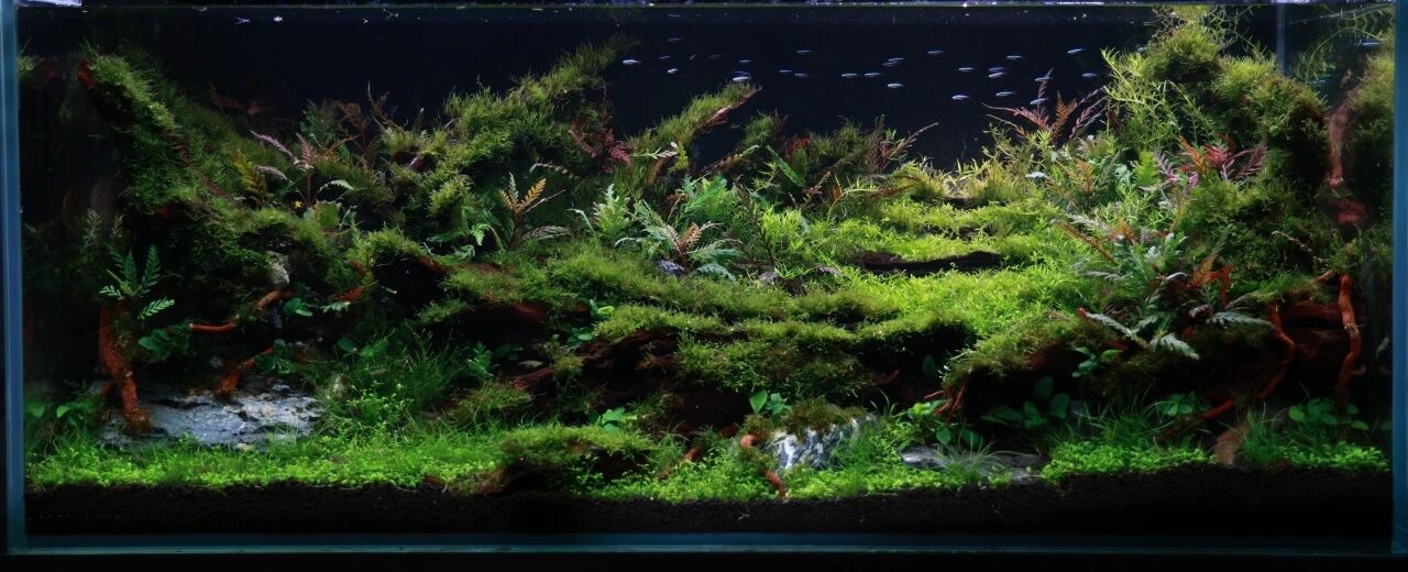 16f0964486980c2e1b244ef2749de500.jpg 16f0964486980c2e1b244ef2749de500.jpg