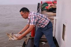 http://sc.zjou.edu.cn/__local/D/6B/70/FA3F32F4A55A84E4439C4DDA098_625D49A9_22AE5.jpg